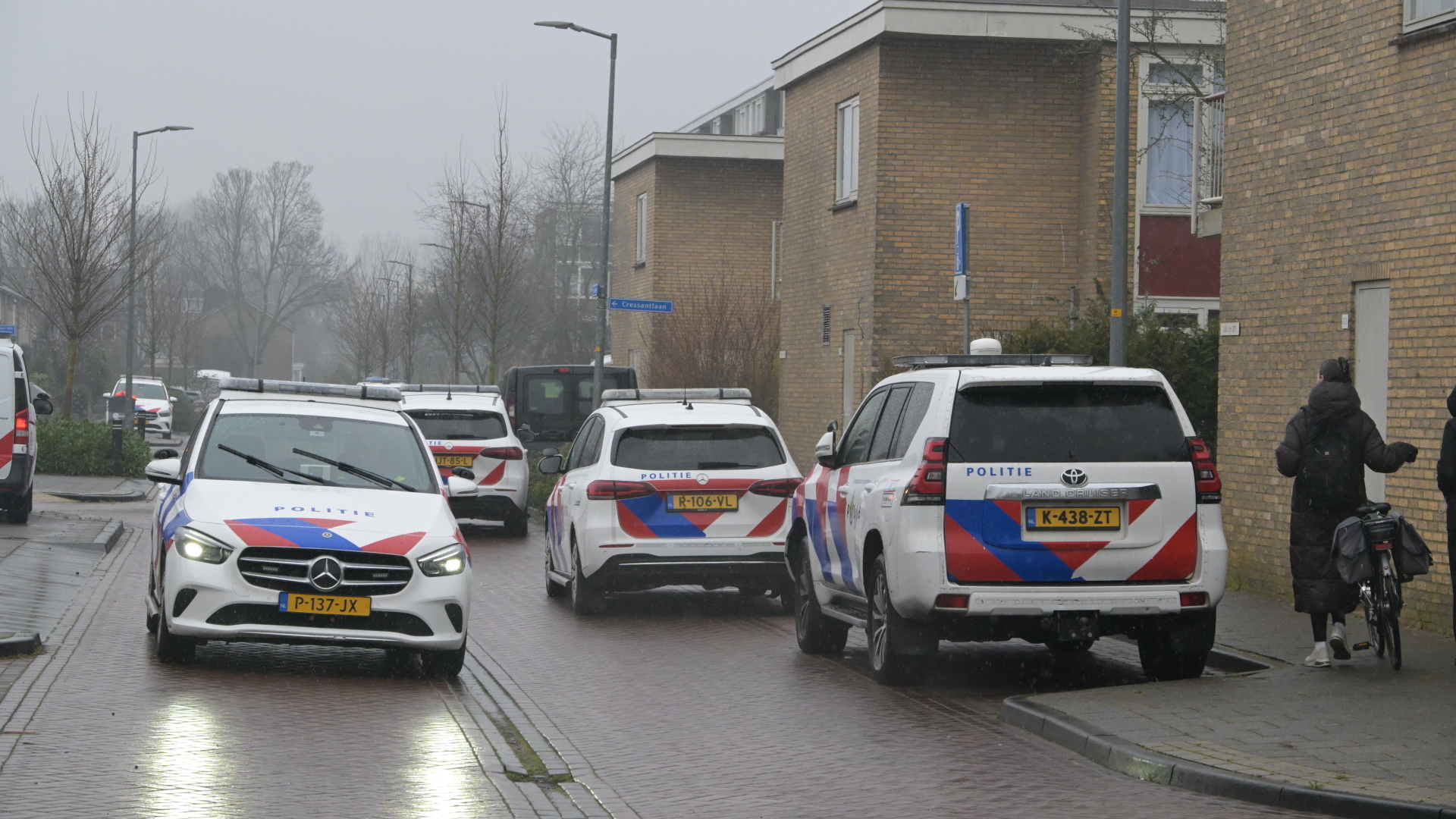 Foto: meerdere politieautos.JPG